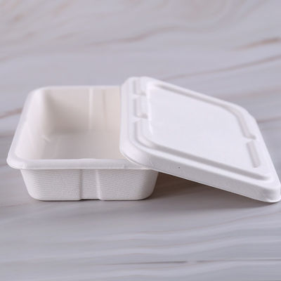9 &quot;X9&quot; Lunch Food Kemping Naturalne pudełka Bagasse Bez substancji chemicznych
